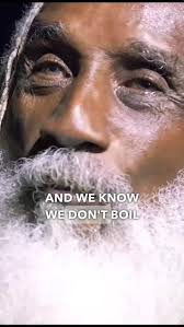 Ronald Royal (ronaldroyal)