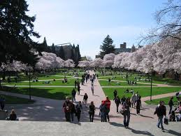 Or perhaps you need screening from the prying eyes of a neighbor. University Of Washington Quad Wikipedia