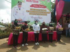 Taman air lippo cikarang ini dibuat dengan konsep bernuansa pulau bali. Kolam Renang Taman Bahagia Hadir Di Cempaka Dalam Cahaya Lampung