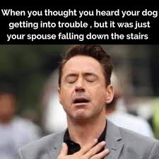 Ruff Cuts Dog Grooming