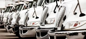 Image result for Gray 1992 Fleet