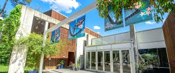 Butterflies inspire healthy activities, as people all over the world record butterfly activity or plant special flowers and. Butterfly House Museum Of Life And Science