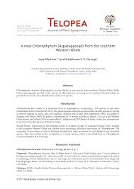 Image result for Chlorophytum perfoliatum