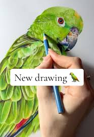 Kai's Colorful Portrait: A Tribute to a Beloved Parrot