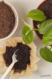 Pin On Grow Your Own
