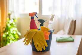 6 Places Pro Cleaners Hate Cleaning in Their Own Homes