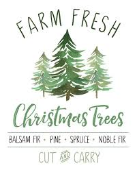 These tree farms account for nearly 31,000 acres; Farm Fresh Christmas Trees Free Christmas Printable Clean And Scentsible Fresh Christmas Trees Christmas Tree Printable Free Christmas Printables