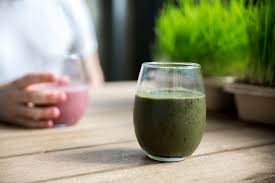 Wheatgrass is exactly what it says on the tin, plain old wheat grass, while this might not sound very interesting or special to begin with it does make the process of finding all the stuff you need to grow your own very simple. 49 Wheatgrass Benefits Everything You Need To Know