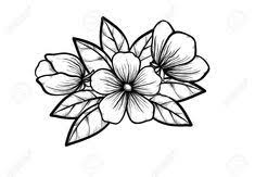 Resultat De Recherche D Images Pour Dessin Fleur Noir Et Blanc Orchidee Preto E Branco Desenhos Preto E Branco Tatuagens Preto E Branco