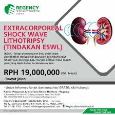 Batu ini terbentuk ketika banyak mineral tertentu dalam tubuh yang menumpuk di urine. Terapi Penghancuran Batu Ginjal Tanpa Pembedahan