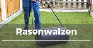 Damit ein rasen seine aufgabe als grüne visitenkarte des gärtners vollendet erfüllt, kommt es auf eine fachgerechte aussaat an. Rasen Walzen Garten Schule