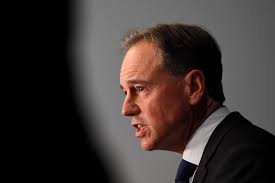 Health minister Greg Hunt won't contest next election
