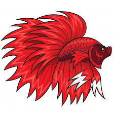 Betta Vector Fish Di 2020 Ikan Cupang Hewan Kartun