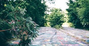 Today, fewer than 10 people still live there. Apfelbaume Schmetterlinge Die In Centralia Pennsylvanias Verlassener Kohlestadt Eingefuhrt Werden Sollen Nach Welt