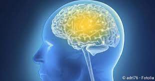 Gehirntumor Formen Anzeichen Und Heilungschancen Netdoktor