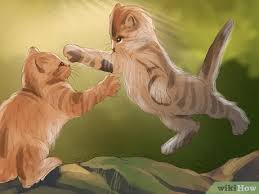 Lump on cats rear leg. 3 Ways To Identify Lumps On Your Cat Wikihow