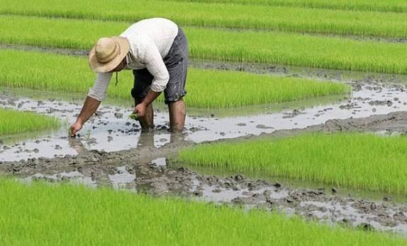 چگونه بهترین نقشه را برای زمین انتخاب کنیم؟-2 