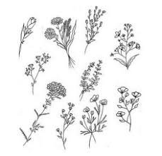 Believe they are, so you will soon be able capture the right shape. 32 Small Flower Drawings Ideas Small Flower Drawings Small Tattoos Cute Tattoos