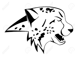 Download cheetah drawings images and use any clip art,coloring,png graphics in your website baby cheetah easy drawing. Cheetah Drawing Easy Face