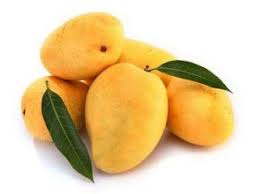 Manfaat Buah Mangga Mango Mangga Buah