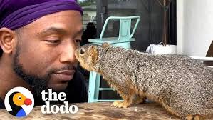 Guy Is The Best Friend A Squirrel Could Have