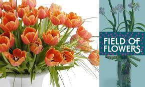 Maybe you would like to learn more about one of these? Half Off From Field Of Flowers Field Of Flowers Groupon