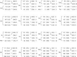 Without knowing each other the couple take their lovers and go on holiday in their chalet on the alps for a weekend to satisfy their fantasies and impulses. Initial Sequencing And Analysis Of The Human Genome Nature