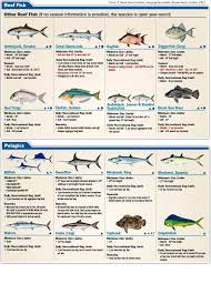 Myfwc.com/fishing/saltwater/recreational for the most current regulations). Recreational Fishing Regulations Gulf Of Mexico