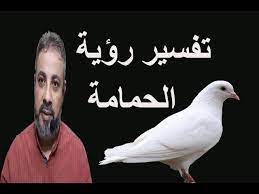 تفسير رؤية الحمام في المنام اسماعيل الجعبيري youtube