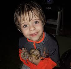 Teen saves life after snake bite in Macedonia state park