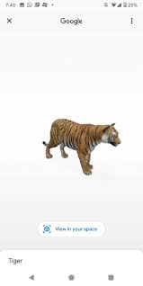 Google 3d View In Your Space Not Working Here S How To Give Google Access To Your Camera