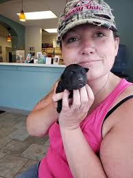 Maine open trial results announced