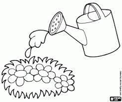 Resultado De Imagen De Dibujos Regando Plantas Paginas Para Colorear Imagenes Coloridas Plantillas Para Colorear