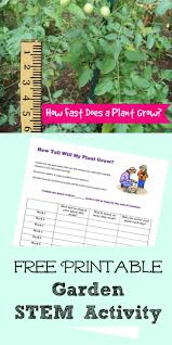 Garden Ideas For Kids Outdoor Math Activity Plants And Measurement For The Classroom Plant Activities Gardening For Kids Plant Science