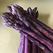 Image result for Asparagus exuvialis