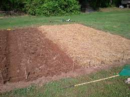 We did not find results for: How To Easily Prepare Your Garden Without A Tiller Redeeming The Dirt