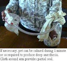Euthanasia, also called mercy killing, is a sensitive topic for a lot of canine lovers. How To Euthanize A Dog At Home With Helium Dogwalls