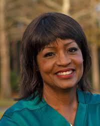 3 Republicans square off in Florida House District 16 primary race