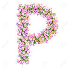 See more ideas about letter p, lettering, lettering alphabet. Letter P Alphabet With Zinnia Flower Abc Concept Type As Logo Typography Design Stock Photo Picture And Royalty Free Image Image 40321160