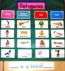 Classifying And Categorizing Are First Grade Standards Dollar Stores Are Loaded Wi Reading Workshop Mini Lessons Reading Comprehension Lessons School Reading
