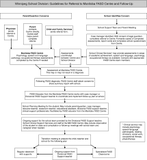 Educating Students With Fasd Linking Policy Research And Practice Millar 2017 Journal Of Research In Special Educational Needs Case Management Student