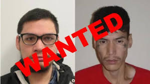 Wanted in Winnipeg Archives