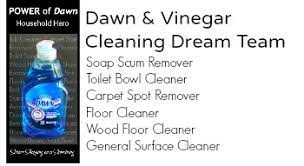 Bathroom cleaner dawn vinegar baking soda. Cleaning Dream Team Vinegar And Dawn Sisters Shopping Farm And Home