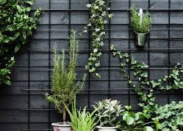 speciaal voor balkoneigenaren dit zijn de mooiste balkonplanten roomed achtertuin schutting tuin tuin