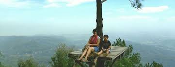 Tolong tuliskan 5 lagu nct beserta genre nya. Memandang Alam Dari Puncak Becici The Urban Mama