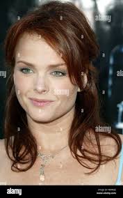 Der meyer hi-res stock photography and images