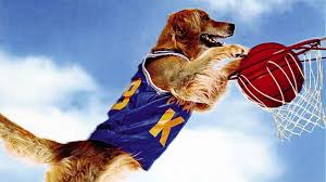 Air Bud Came Out 20 Years Ago So We Tracked Down The Director And Made Him Explain Everything