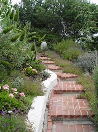 Ideal for low maintenance landscaping, these plants thrive in zones 7 to 10, whether in partial or full shade, and require little to no mowing, fertilizing, or watering. Hillside Landscaping How To Landscape A Slope Landscaping Network