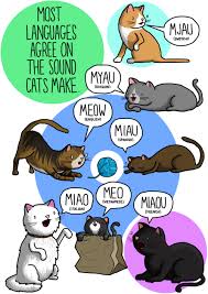 Worldwide Woofs And Other Animal Sounds Illustrated In Different Languages Animal Sounds Cat Noises Cat Language