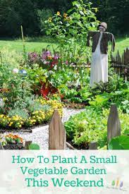 How To Plant A Small Vegetable Garden This Weekend Small Vegetable Gardens Container Gardening Vegetables Vegetable Garden For Beginners